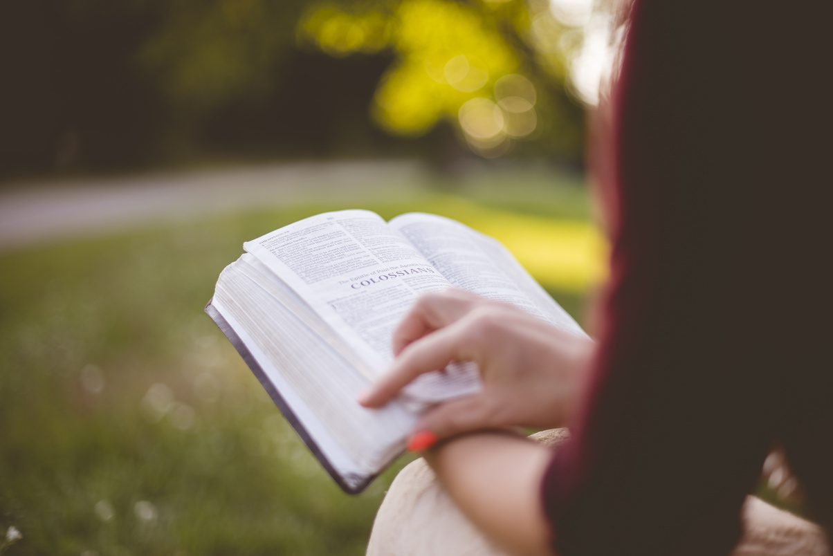 A Woman Reading